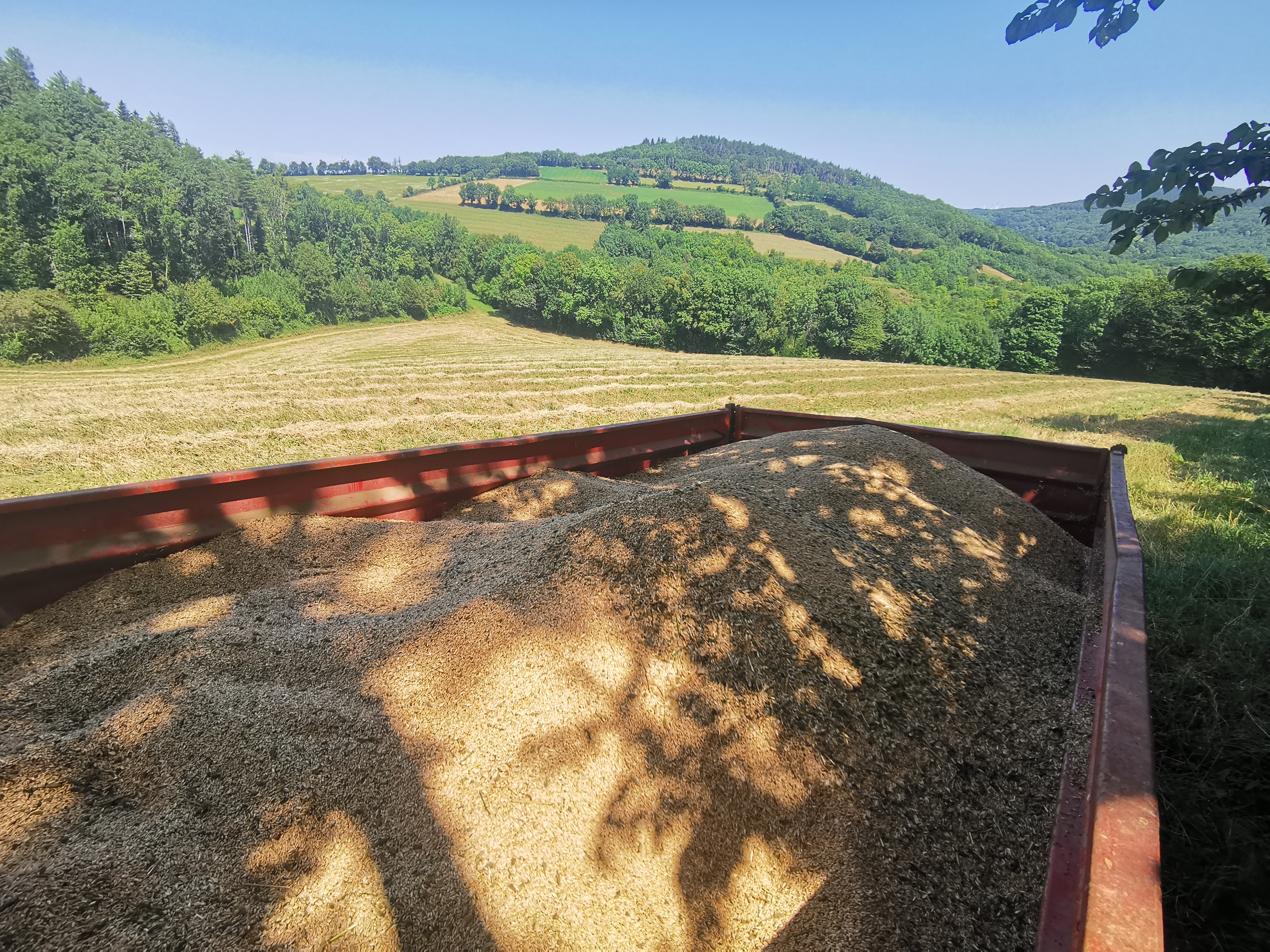 Benne remplie de grains